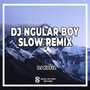 DJ Ngular Boy Slow Remix