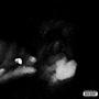 Up in Smoke (Explicit)