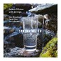 Spring Water (Kerem Görsev with Strings)