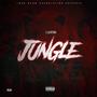 Jungle Freestyle (Explicit)