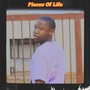 Pieces of Life (Explicit)