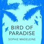 Bird of Paradise