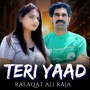 Teri Yaad