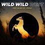 Wild Wild West (feat. Ntu2kay)
