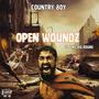 Open Woundz (feat. BIG ROUND) [Explicit]