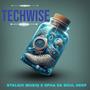 Techwise (feat. Spha da soul deep)