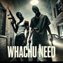 Whachu need (feat. Saysofoe) [Explicit]