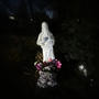 AXOLOTL (Explicit)