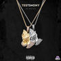 Testimony (Explicit)