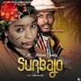 SURBAJO PULLO (feat. Zee Fulani)