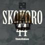 Skokoro 44 (Tlhakatlhakano)