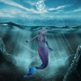 Ocean Fairy Tail to Teleport You into Dream Reality