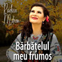 Bărbățelul Meu Frumos