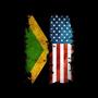 Irie (feat. BiGMoley) [Explicit]