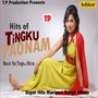 Hits of Tingku Paonam (Patiyab Payri)
