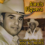 Un Tributo Al Pico De Oro José Alí Nieves
