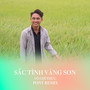 Sắc Tình Vàng Son (Pony Remix)