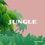 Jungle (Explicit)