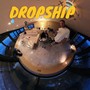 Dropship