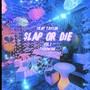 SLAP OR DIE Vol. 1ThouWow (feat. VINTAGE HEEM, JUUGHOUSE JAY, SkateGod, Mike Pastusec, Ziggy Zay, Dizzi Slikk & Rassic) [Explicit]