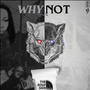 Why Not (Explicit)