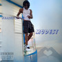 MODEST (Explicit)