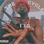 The Cycle (Explicit)