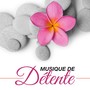 Musique de Détente - Musique Relaxante pour la Méditation Profonde