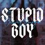 Stupid Boy (Explicit)