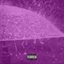 Purple Rain (Explicit)