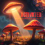 Mushrooms Got Me Here