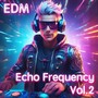 EDM Echo Frequency Vol.2