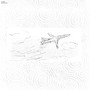 a flight well taken (JSX - taos)