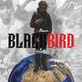 BlackBird (Explicit)