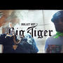 Big Tiger (Explicit)