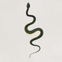 snake year (Explicit)
