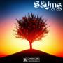 SAYMS & CO VOL 2 (Explicit)