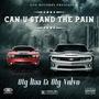 Can U Stand The Pain (Explicit)