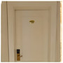 Room 805