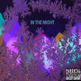 In the Night (Explicit)