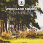 Woodland Sounds: Sleep & Mindfulness