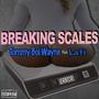 Breaking Scales (Explicit)