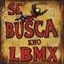 Se busca