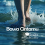 Bawa Cintamu