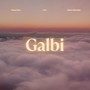 Galbi