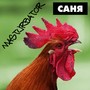 Саня (Explicit)