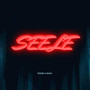 Seele (Explicit)