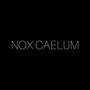 Nox Caelum (feat. Amourinette & TnT X)