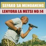 Lenyora La Metsi, Vol. 14