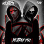 Destroy You